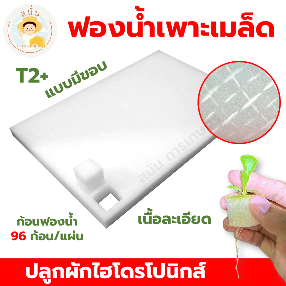 ฟองน้ำปลูกผักไฮโดรโปนิส์ ฟองน้ำเพาะเมล็ด ผักสลัด เนื้อละเอียด แบบมีขอบ 96 ช่อง มีรอยบาก พร้อมใช้