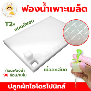 ฟองน้ำปลูกผักไฮโดรโปนิส์ ฟองน้ำเพาะเมล็ด ผักสลัด เนื้อละเอียด แบบมีขอบ 96 ช่อง มีรอยบาก พร้อมใช้