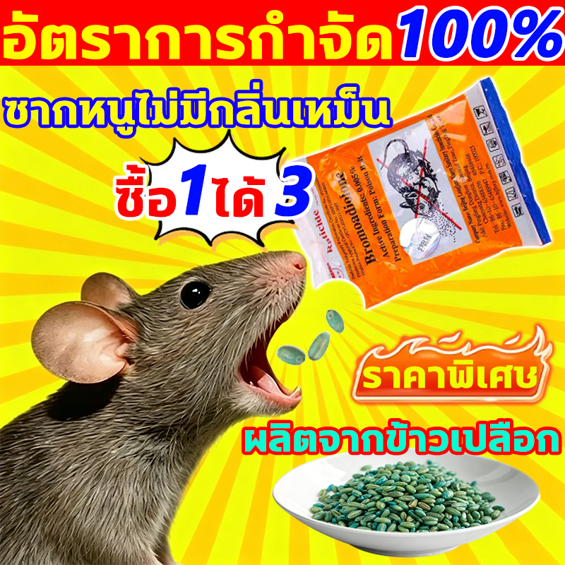🔥COD เก็บเงินปลายทางได้🔥 ยาฆ่าหนู ซื้อ1ได้2 ยาเบื่อหนู ยากำจัดหนู เหยื่อกำจัดหนู ยาเบื้อหนู ยาเบื่อหนูแห้ง สารกำจัดหนู