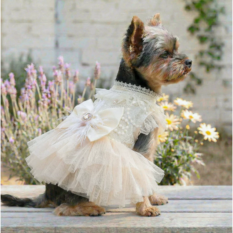 DoggyDolly ชุดสูทหมา ชุดเจ้าสาวหมาแมว ชุดแต่งงานสัตว์เลี้ยง thumbnail 10