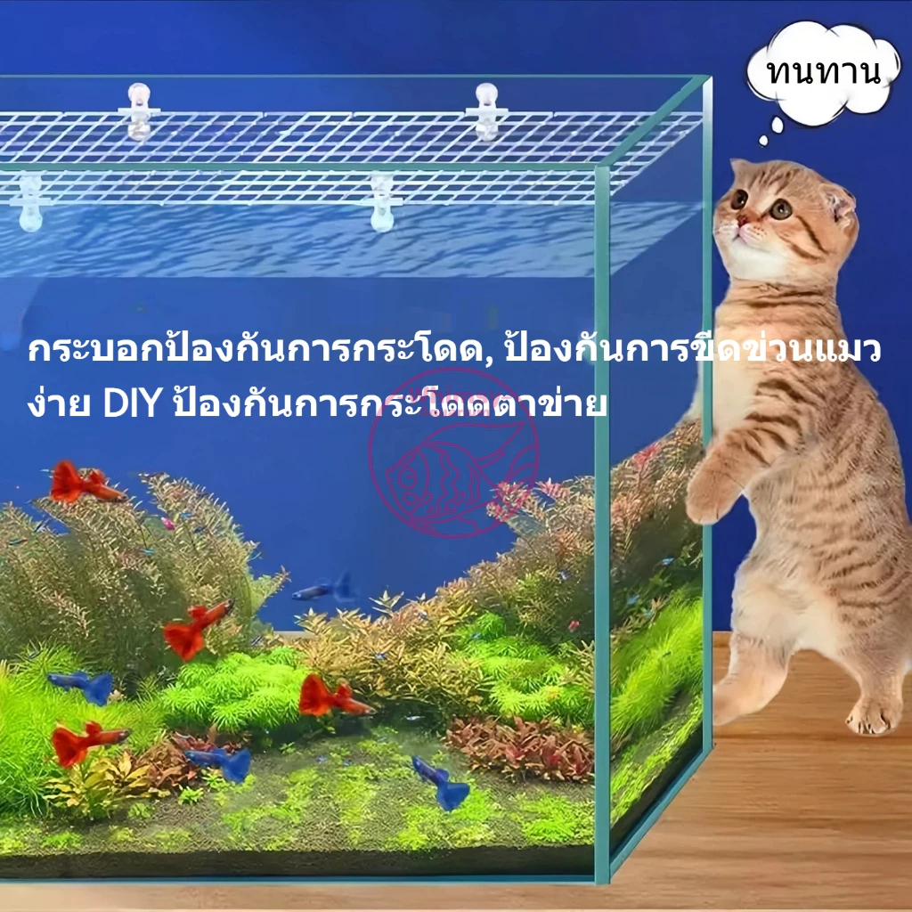 ตะแกรงแฟรก ตะแกรงกั้นตู้ปลา กันปลากระโดด แบ่งช่องตู้ปลา ตัวยึดอะคริลิคฝาตู้ thumbnail 5