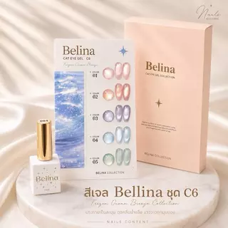 รวมสีเจลยกชุด 5 สี Belina 10 แบบ พร้อมชาร์ตสำเร็จรูป