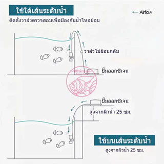 กรองฟองน้ำจิ๋ว กรองฟองน้ำ ตู้ปลา โหลปลา อ่างปลาขนาดเล็ก บำบัดน้ำใส กรองสิ่งสกปรก