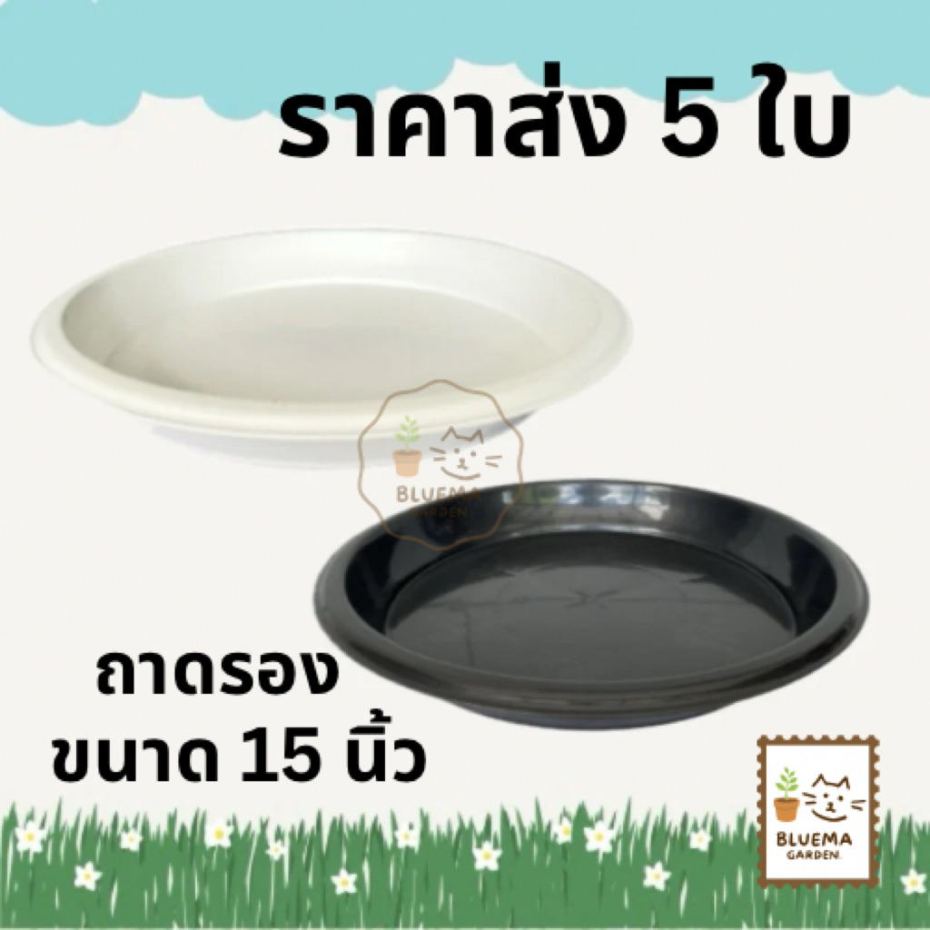 จานรองกระถางต้นไม้ 5 ใบ สีขาว ขนาด 15 นิ้ว