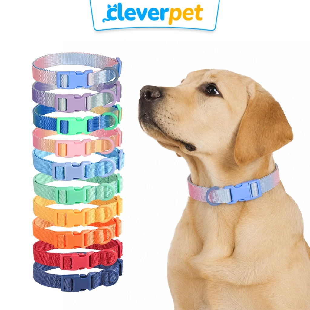 [ส่งฟรี🇹🇭] CleverPet ปลอกคอสุนัข สีพาสเทล ปลอกคอสัตว์เลี้ยง ปลอกคอแมว สายจูงสุนัข Dog Collar