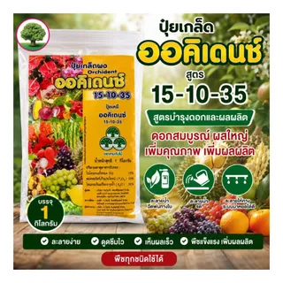 ปุ๋ยเกล็ด ออคิเดนซ์ 15-10-35 บำรุงผล เพิ่มน้ำหนัก สร้างเนื้อผล รสชาติดี บรรจุ 1 กิโลกรัม