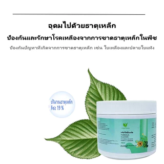 【GreenThumb】ปุ๋ย เหล็กซัลเฟต เฟอรัสซัลเฟต 250g ป้องกันโรคเหลือง ปรับสมดุลความเป็นกรดของดิน เพิ่มปริมาณธาตุเหล็กในพืช