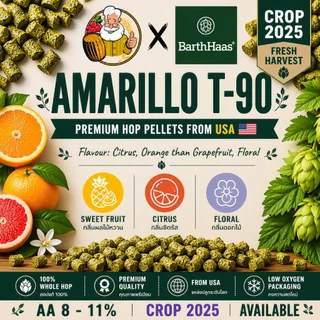 [1 Oz] ฮอปส์ Hops 2024-2025 ขนาดบรรจุ 1 Oz (28 กรัม)