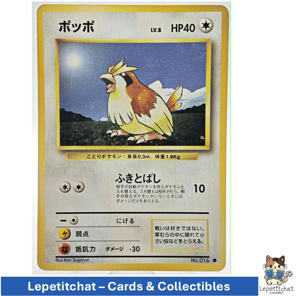 การ์ดโปเกมอน ป็อปโปะ Base set n°016 (JPN). Pokémon card : Pidgey Base set n°016 (JPN). Ref : 043