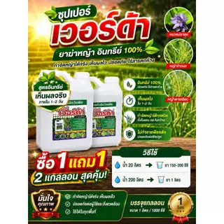 ซุปเปอร์ เวอร์ด้า ยาฆ่าหญ้าอินทรีย์แท้ 100% ซื้อ 1 แถม 1 สูตรแรง เห็นผลไว ไม่มีกลิ่นฉุน ฉีดครั้งเดียวช่วยลดปัญหาหญ้ารก