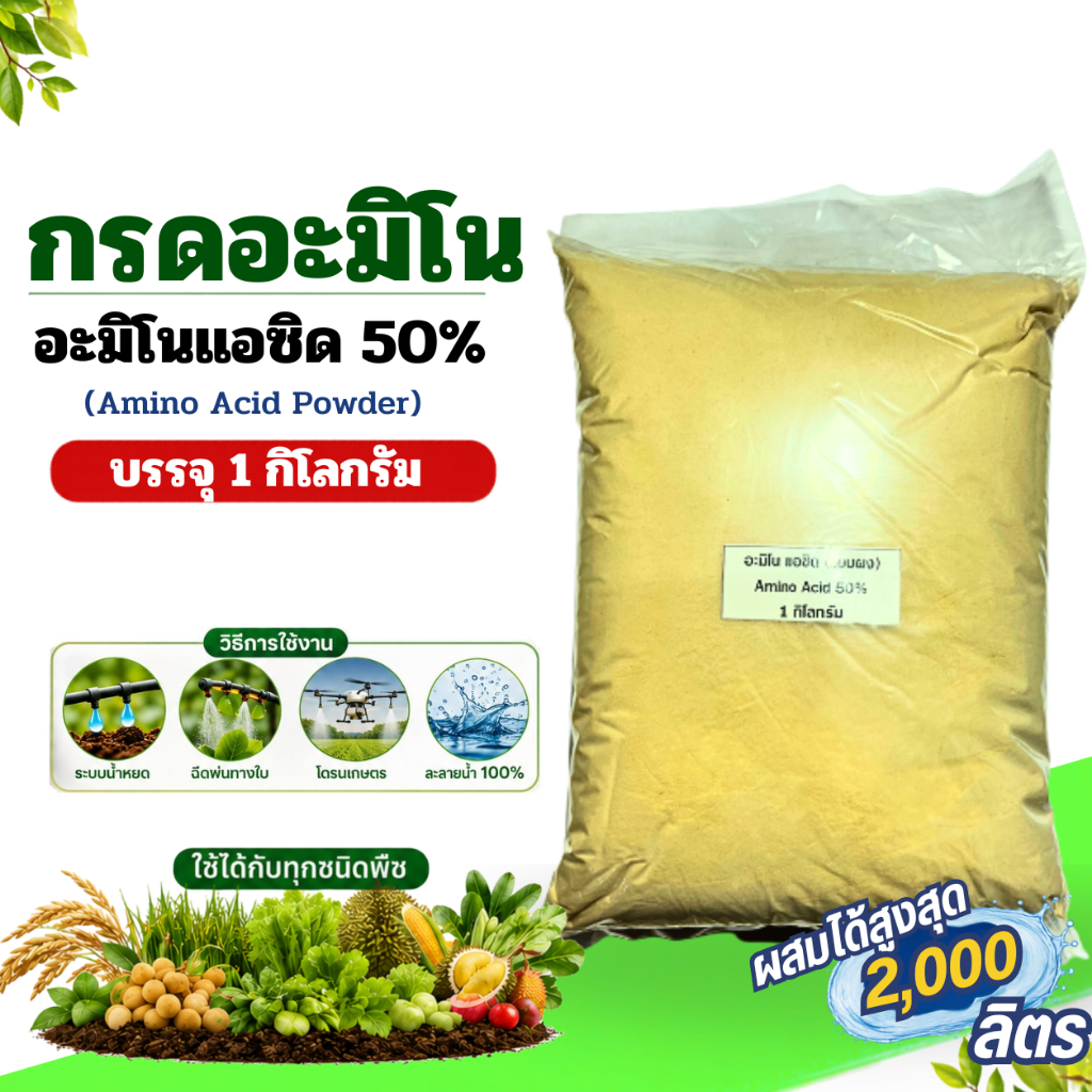 อะมิโนผง สำหรับต้นพืช 50% Amino Acid Powder เสริมสร้างการออกดอก บรรจุ 1 กิโลกรัม