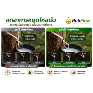 ลับโฟลว์ขวดดำยางพารา [ Rub Flow ] - พลังต้นยาง ช่วยดูแลต้นยางจากภายใน ฟื้นฟูต้นยางอ่อนล้า เสริมความสมบูรณ์ของต้น