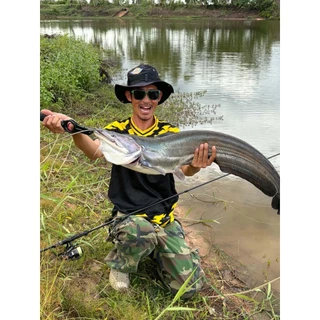 กระดี่Zabvib15g​(ทรงปลากราย)น้ำหนักดีตีไกล