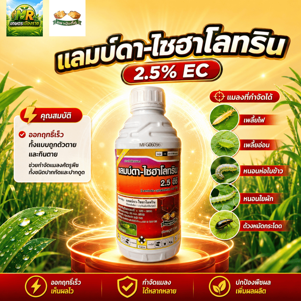 แลมบ์ดา-ไซฮาโลทริน (Lambda-cyhalothrin 2.5% EC) 1L #เกษตรเมืองราช #เพาเวอร์พี