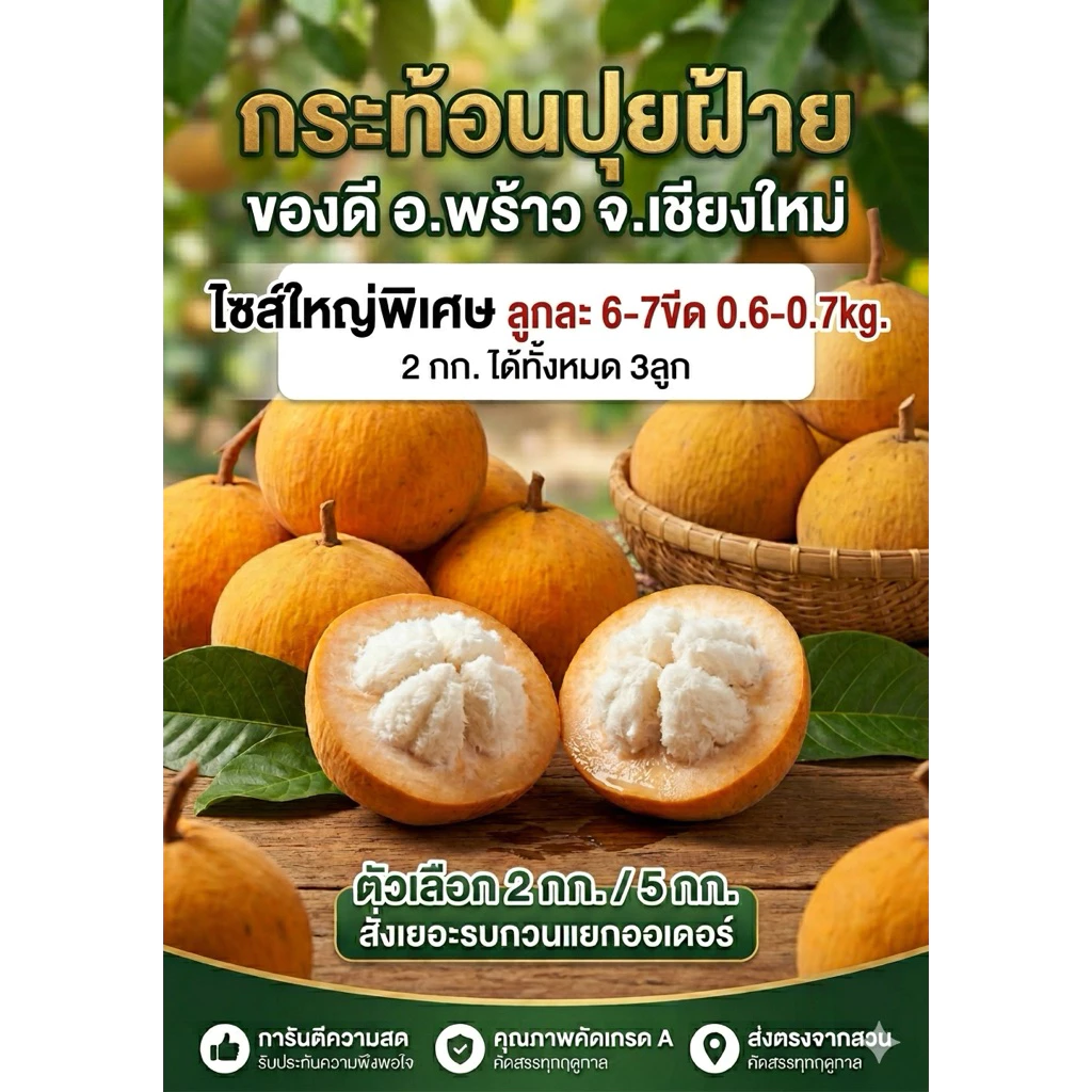 กระท้อนปุยฝ้าย ไซส์ใหญ่พิเศษ💯 ใหญ่มากกก พร้อมส่ง🔥 หมดแล้วหมดเลย