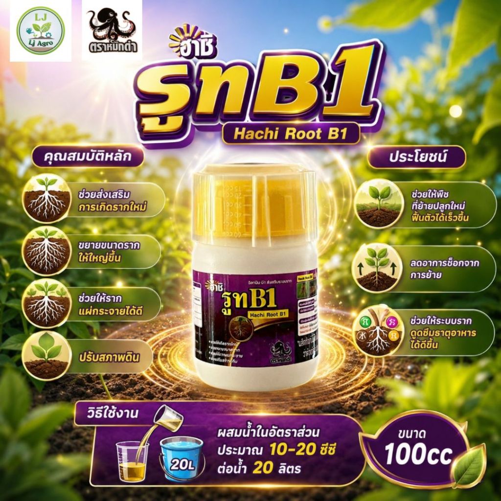 รูท B1 (เร่งราก)สูตรเร่งราก ใช้ตอนกิ่ง ชำกิ่ง ใช้ฟื้นฟูต้นย้ายใหม่ ปลูกใหม่ (ฮาชิ) #แอลเจอะโกร