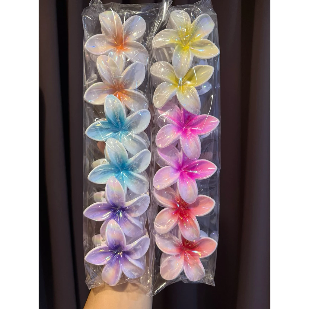 กิ๊บหนีบผมด้านหลัง กิ๊ฟแบบงับ สีพื้น /สีใส 12ชิ้น สินค้าพร้อมส่ง