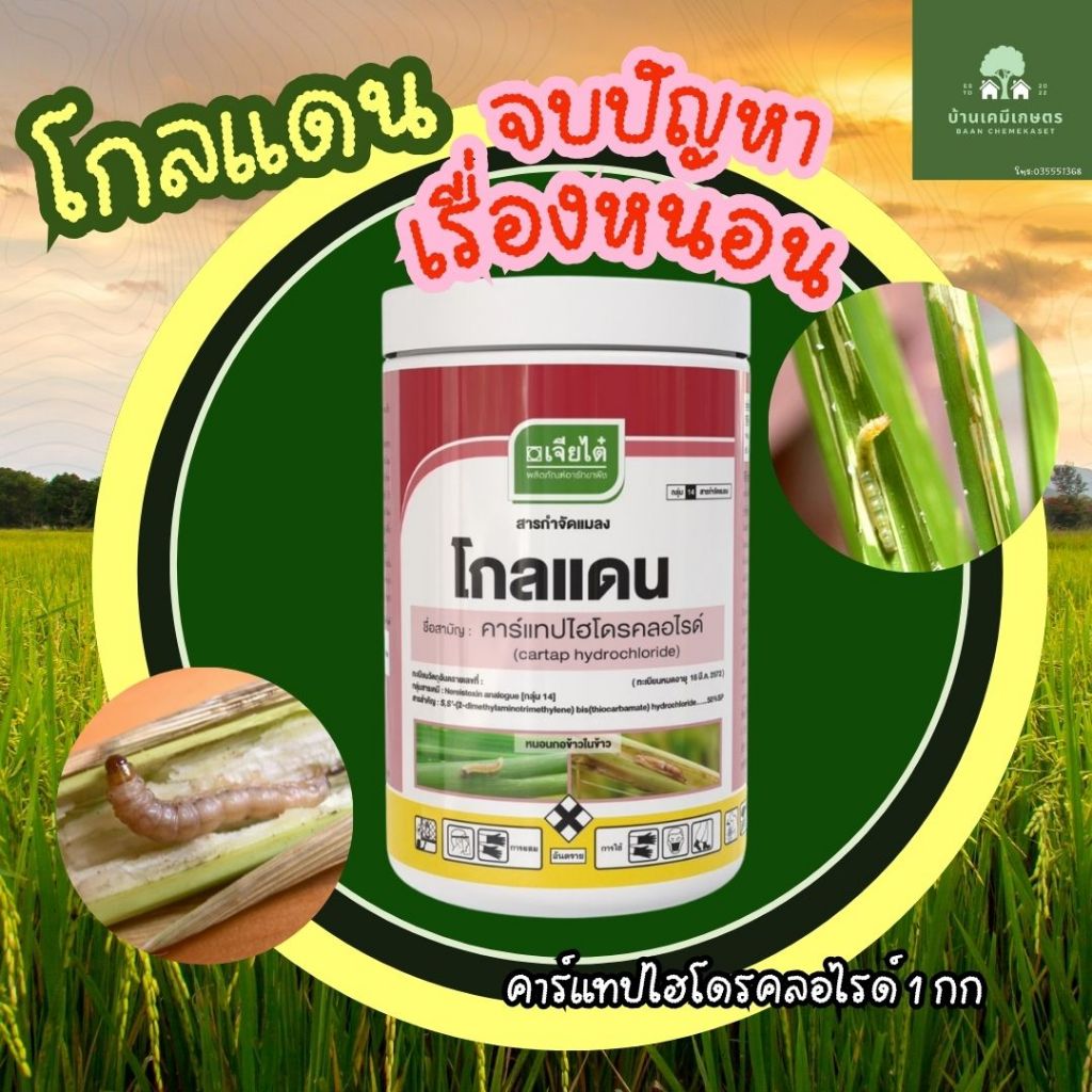 คาร์เเทป 1 กก. โกลแดน เจียไต๋ กำจัดหนอน หนอนกอ หนอนชอนใบ