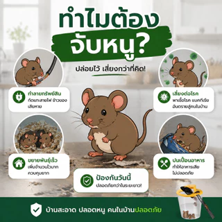 🐀คืนเดียวจับหนูเต็มถังเลย🐀ZEO กรงดักหนู กับดักหนู ที่ดักหนู กับดักหนูพลิกฝา - รีเซ็ตอัตโนมัติ - จับหนูได้ตลอด 24 ชม