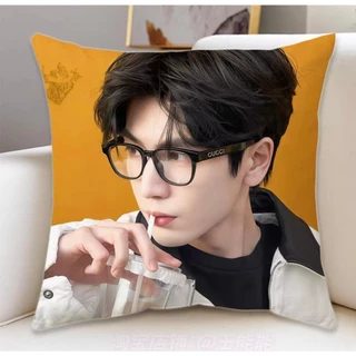 พร้อมส่ง 💗 หมอน จางหลิงเฮ่อ นุ่มฟู น่ากอด หมอน + ปลอก แถมโฟโต้การ์ดค่ะ