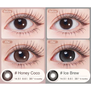 Magister & Realcon คอนแทคเลนส์ 14.5 มม. ตาโต Ice Brew Honey Coco คอนแทคเลนส์สายตา 0.00~-8.00 1 คู่