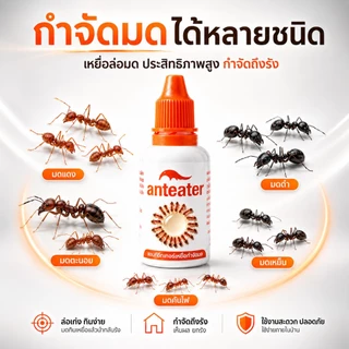 เจลกําจัดมด แอนท์อีทเทอร์ กําจัดมด
