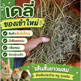 ทิมโมธีแบบปึก และ ร่อนฝุ่นแบบ 5 กก. สำหรับกระต่ายและหนู มีทุกเกรด ขายถูกมากกกก