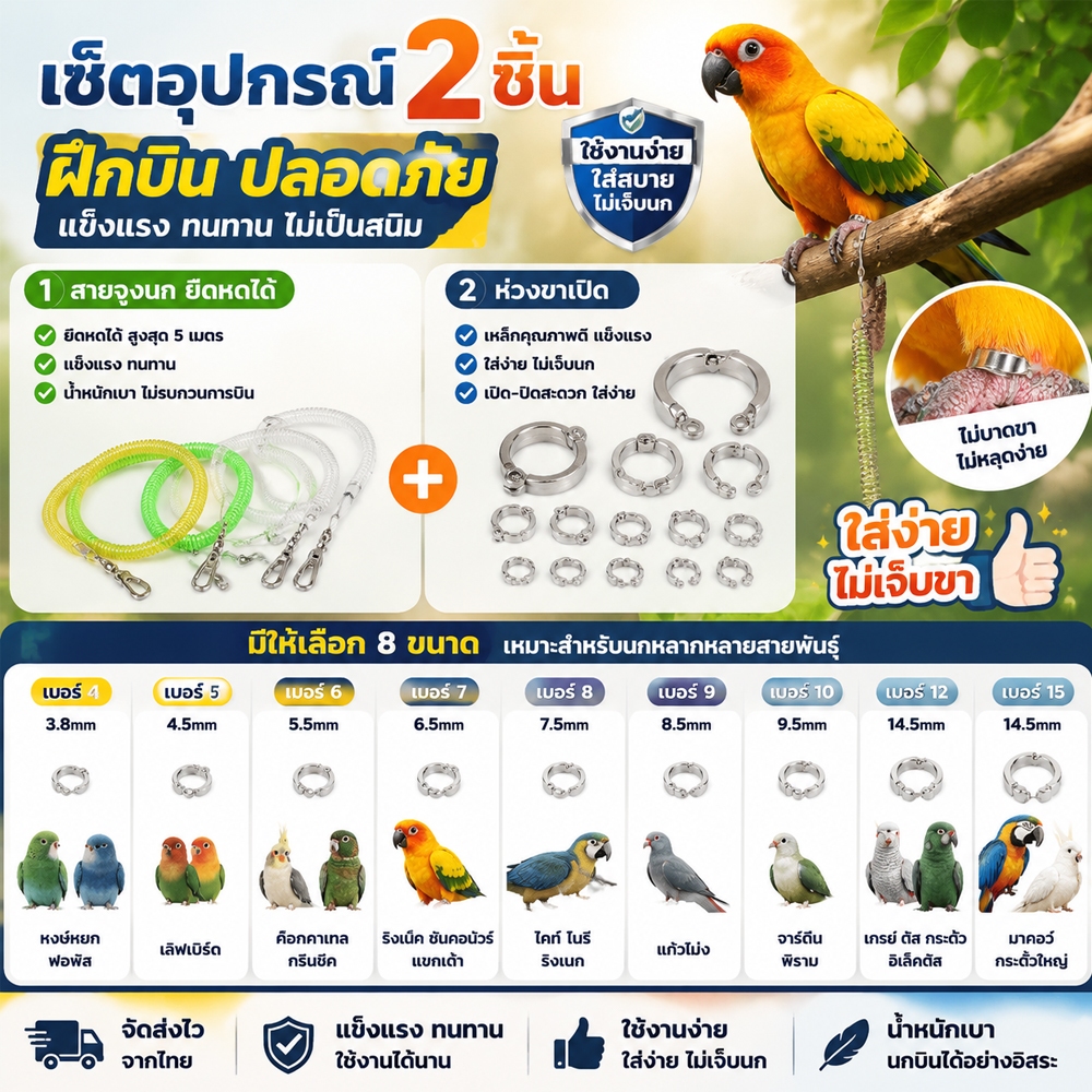 สายจูงเดินเล่นนก 5 เมตร เชือกนก สายจูง อุปกรณ์สำหรับนกแก้ว นกค็อกคาเทล และนกพีโอนี เชือกบินยืดหยุ่น