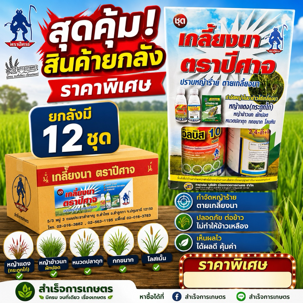 ชุดเกลี้ยงนาตราปีศาจ (ยกลังมี12ชุด) กำจัดวัชพืชในนาข้าว