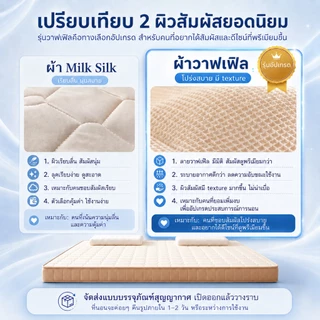 ที่นอนยางพาราแท้ 100% หนา 3.5 นิ้ว แก้ปวดหลัง พับเก็บได้ นำเข้าจากประเทศเบลเยี่ยม ส่งฟรี