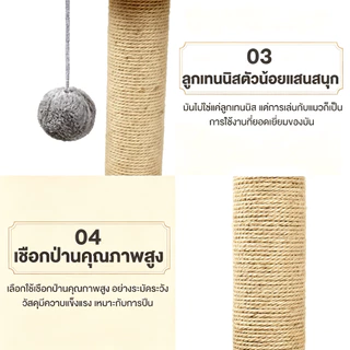 คอนโดแมว 2 หลุมอวกาศ 96CM ไม้พรีเมียม หลุมใส 360° แข็งแรง สำหรับแมว 1-2 ตัว