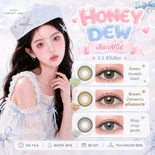 🔥คอนแทคเลนส์✨ขนาดมินิ✨ Honey Dew (Luxzylens) Brown / Gray / Green