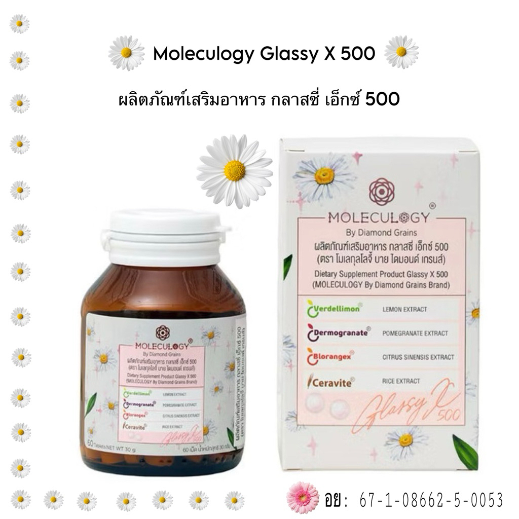 ✨ใหม่ปี 2026🌼MOLECULOGY By Diamond Grains ผลิตภัณฑ์เสริมอาหาร กลาสซี่ เอ็กซ์ 500 60 เม็ด/กระปุก