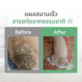 [เซ็ต 2 ขวด] Dr.Zkin Pet Spray ดร.สกิน เพ็ท สเปรย์ [100 ml.] ผลิตภัณฑ์สำหรับสัตว์เลี้ยง บำรุงขน ดับกลิ่น เพิ่มความหอม