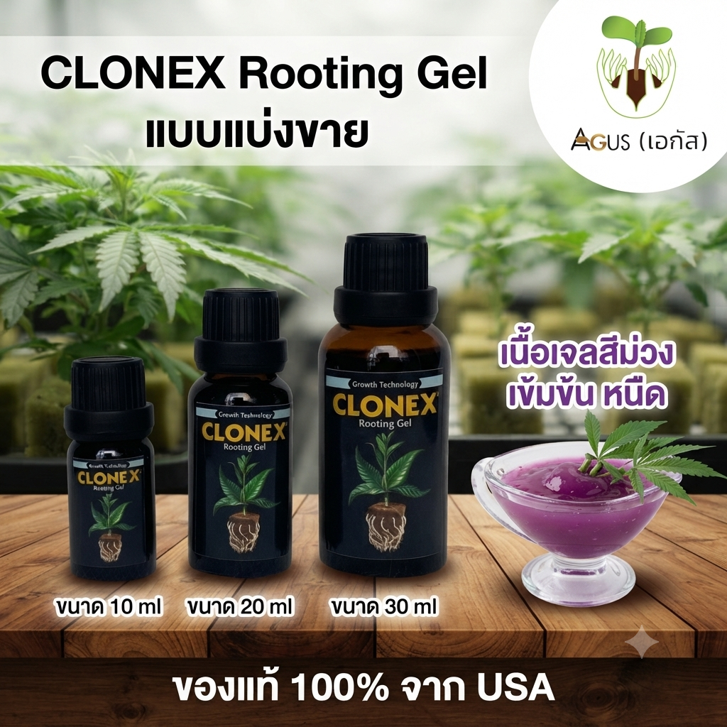 เจลเร่งราก Clonex แบ่งขาย สีม่วง หนืด ของแท้ 100% จาก USA ปักชำ เพาะกล้า เพาะเมล็ด
