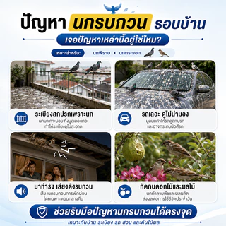 🎉10000เมตรไม่มีนก‼️ ก้อนไล่นกพิราบ ก้อนไล่นก ซื้อ 2 แถม 1 ไล่นกทุกชนิด กันนกพิราบ กันฝน กันแดด ปลอดภัยไร้สารพิษ