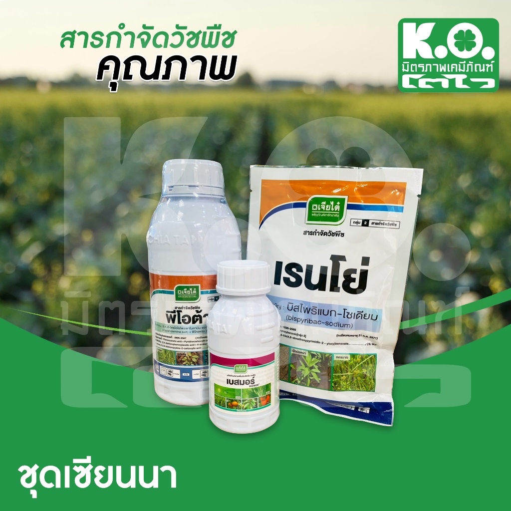 “ชุดเซียน”  ชุดเก็บหญ้าในนาข้าว จากเจียไต๋🔥🌾