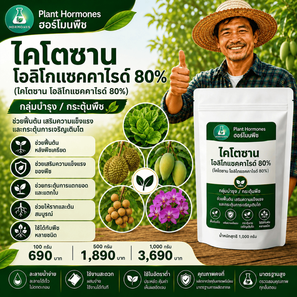 Chitosan oligosaccharides 80% (COS) ไคโตซานโอลิโกแซคคาร์ไรด์ผง 80% 500 กรัม