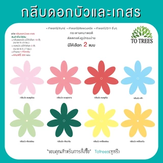 Totrees กลีบดอกบัวและเกสร ดอกไม้จันทน์ ดอกไม้DIY มีให้ 2 แบบ ครึ่งโล และ 1กิโลกรัม/สี รหัส กลีบบัวและเกสร
