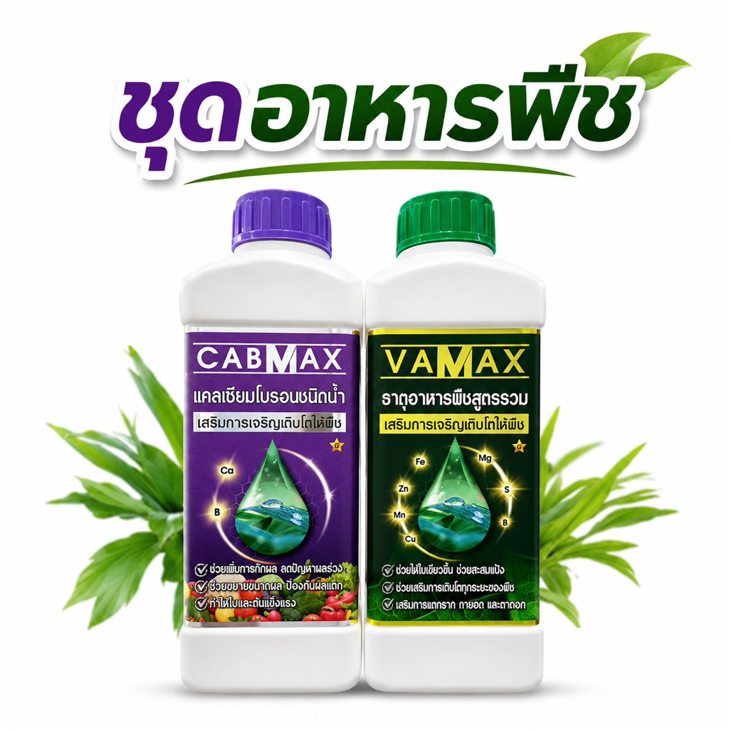 ปุ๋ยน้ำ (1 แถม 1) VAMAX ธาตุอาหารพืชรวม + CABMAX แคลเซียมโบรอน ใบเขียวโตเร็ว ดอกผลแข็งแรง