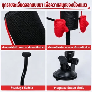 กระสอบต่อยแมว ของเล่นแมว ฐานดูดสุญญากาศ ระบายพลัง ลดความเครียด เสริมสัญชาตญาณนักล่า ของเล่นแมวคลายเครียด