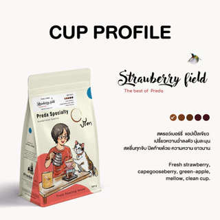 Strawberry field (เมล็ดกาแฟ LTLH คั่วอ่อน Light Roast Specialty กาแฟสตรอเบอรี่ ปรีดา)
