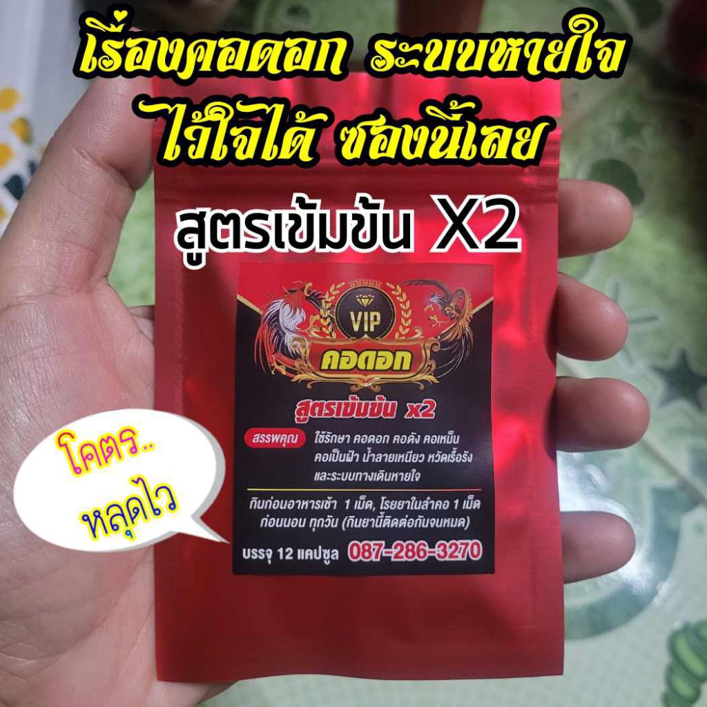 VIP คอดอกคูณ 2ดูแลคอดอก คอดัง น้ำลายเหนียว