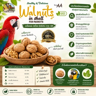 Farmland Walnuts in Shell (500g) Grade AA วอลนัททั้งเปลือกสำหรับนกแก้ว เกรดพรีเมียม สดใหม่ Omega3