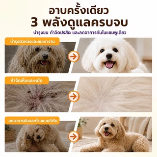 Cassiel Petแชมพูสัตว์เลี้ยง 3 in 1 กำจัดเห็บหมัด ลดอาการคัน บำรุงขนเงางาม สูตรชิลเวอร์ไอออน + สารสกัดจากพืช อ่อนโยน