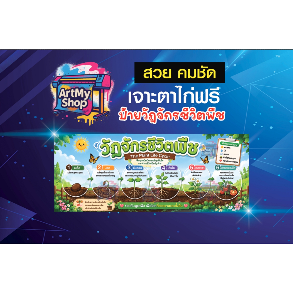 ป้ายไวนิล วัฏจักรชีวิตพืช  The Plant Life Cycle วิทยาศาสตร์ป สื่อการเรียนการสอน ตกแต่งห้องเรียน พิมสวยคมช