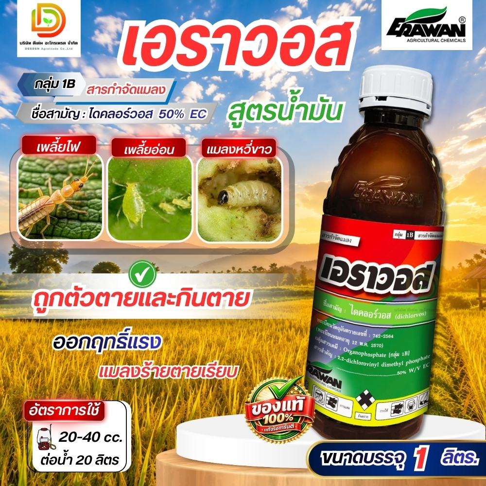 เอราวอส ไดคลอร์วอส ขนาด 1 ลิตร หนอน เพลี้ย มอด #เอราวัณ