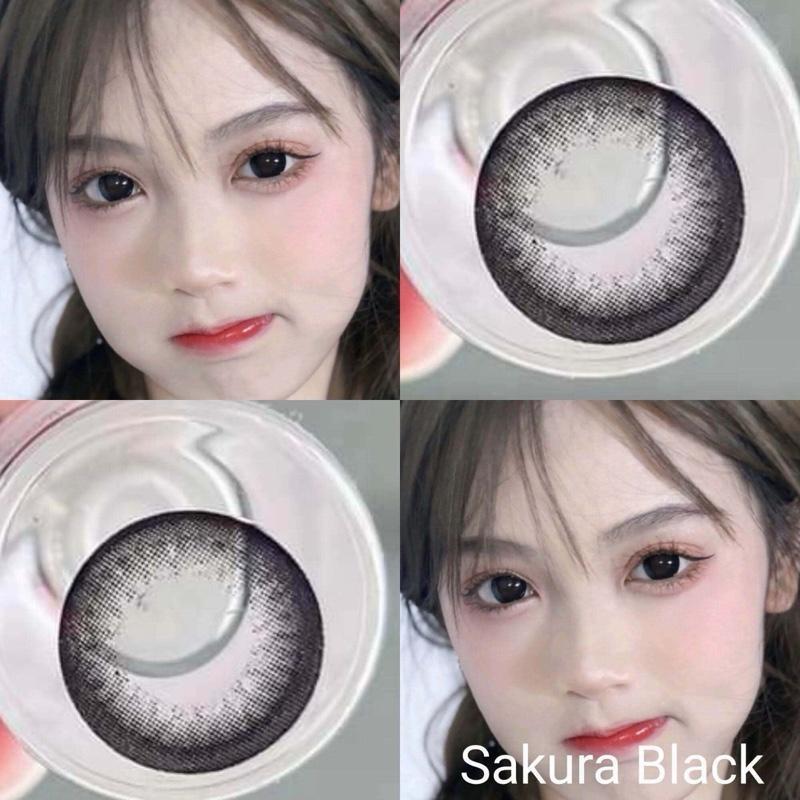 คอนแทคเลนส์ตาโตรายเดือน อย.ไทย เลนส์แฟชั่น : Sakura
