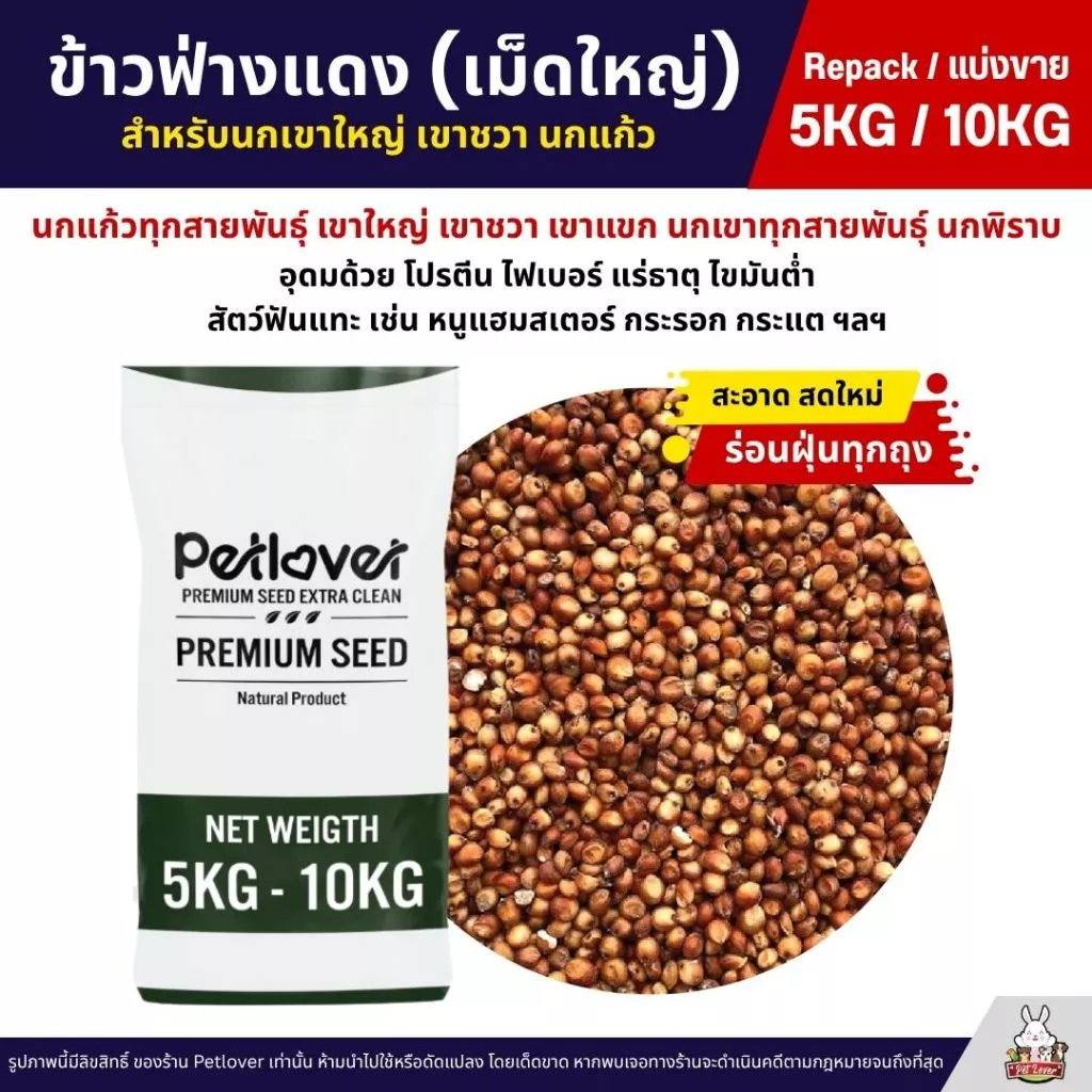 (5KG/10KG) ข้าวฟ่างแดง อาหารนกแก้ว หนูแฮมสเตอร์ นกเขา เขาใหญ่ เขาชวา นกพิราบ ใหม่ สด สะอาด ร่อนฝุ่นทุกถุง