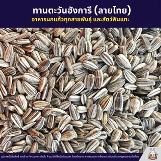 (5KG/10KG) ทานตะวันฮังการี (ลายไทย) เกรดA เม็ดเล็ก อาหารนก และสัตว์ฟันแทะ ใหม่ สด สะอาด ร่อนฝุ่น